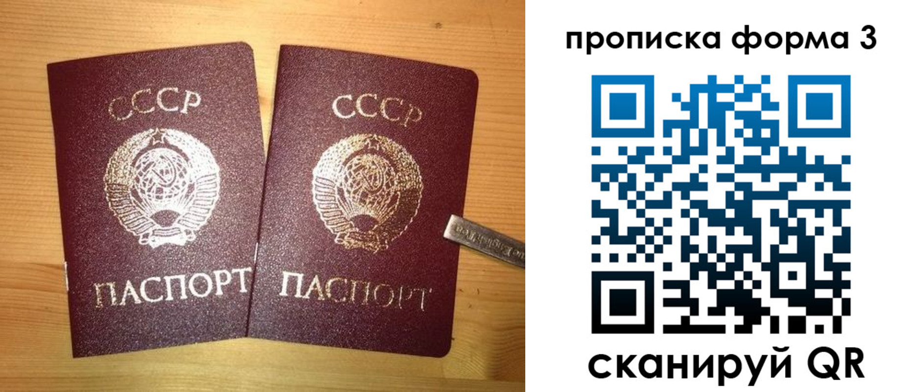 прописка иностранных граждан в Люберцах
